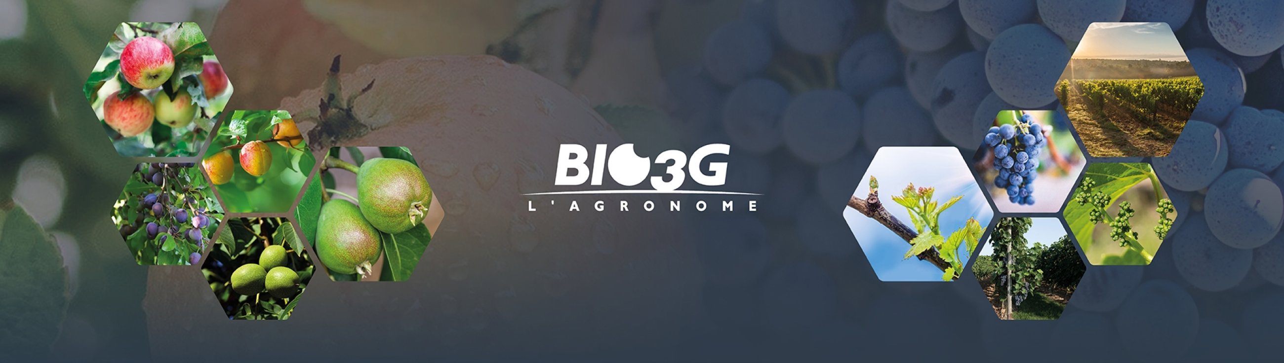 Agrovina Cover Haut